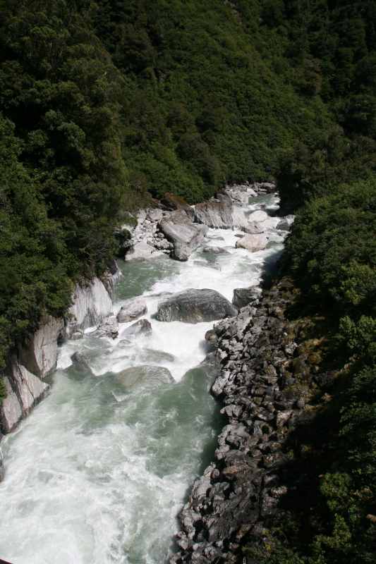 Nieuw-Zeeland 2011 - 1570